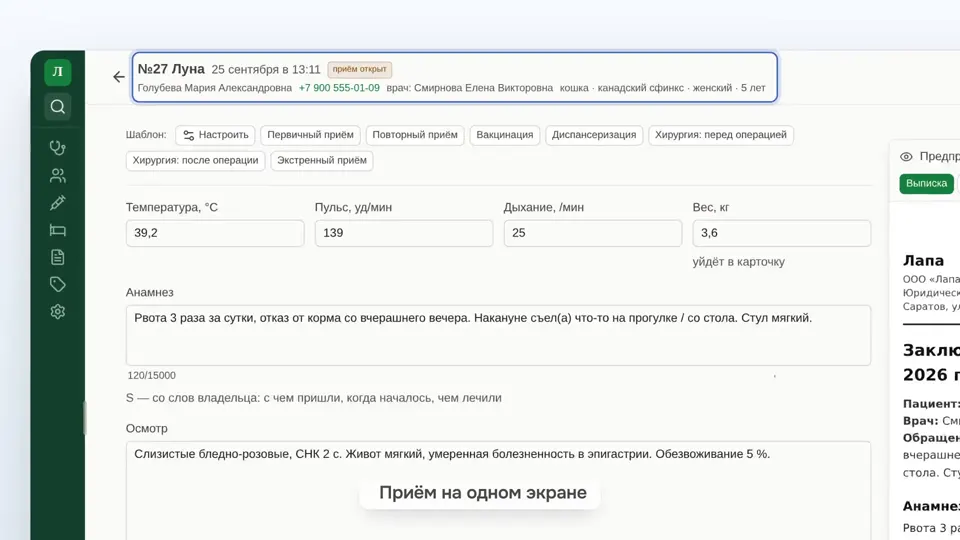 Кадр из главы «Приём и медкарта» видеообзора ВетПлана