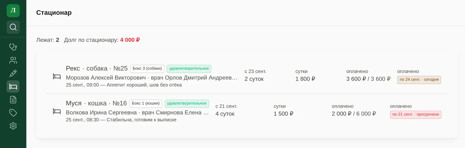 Список стационара: два пациента, боксы, состояние, дата поступления, сутки, стоимость суток, оплата и общий долг 4 000 ₽