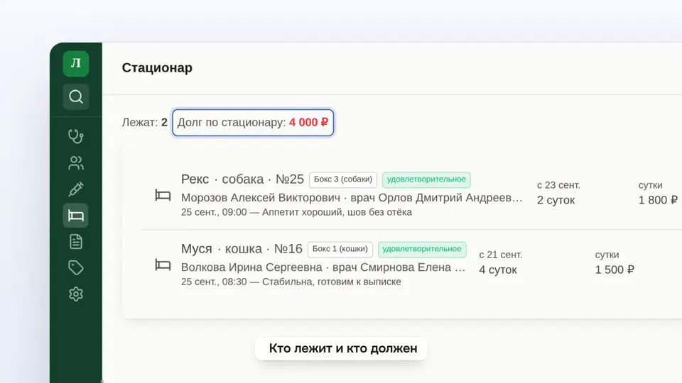 Кадр из главы «Стационар» видеообзора ВетПлана