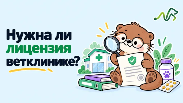 Лилла с лупой изучает лицензию ветклиники, рядом папки и препараты: нужна ли лицензия ветклинике