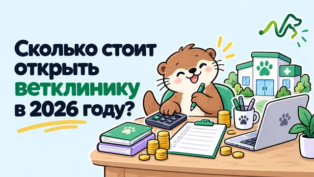 Лилла считает бюджет на калькуляторе у ноутбука с монетами и сметой: сколько стоит открыть ветклинику